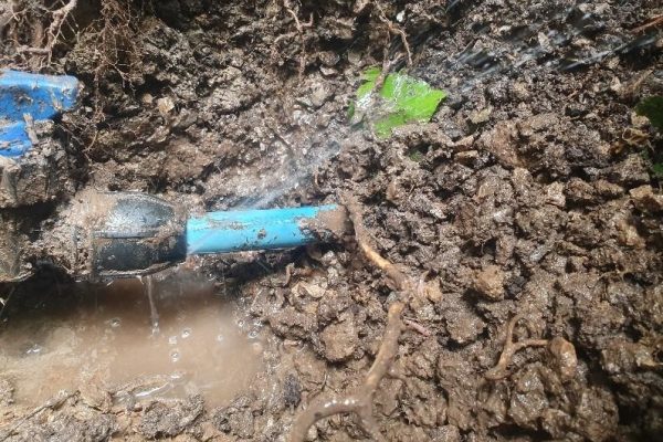 Water Mains Leak Detection Esher